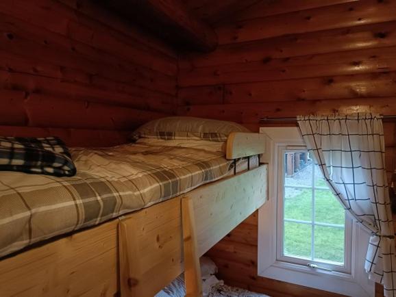 299 Willow Holiday home Trawsfynydd
